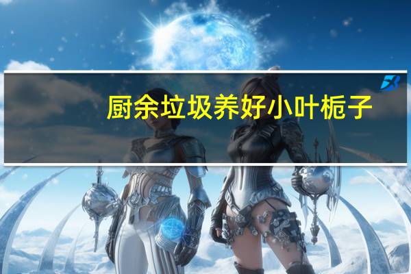 厨余垃圾养好小叶栀子