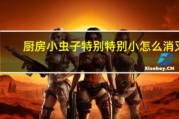 厨房小虫子特别特别小怎么消灭