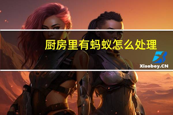 厨房里有蚂蚁怎么处理