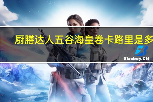 厨膳达人 五谷海皇卷卡路里是多少