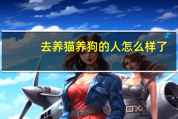 去养猫养狗的人怎么样了