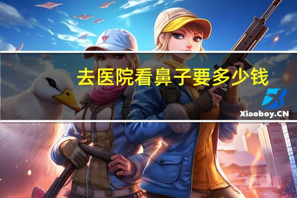 去医院看鼻子要多少钱，做鼻内镜检查要多少钱