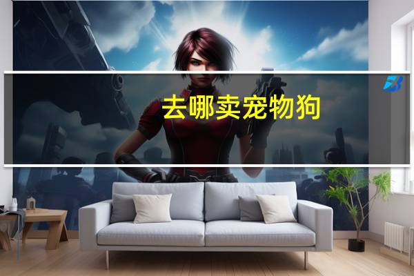 去哪卖宠物狗