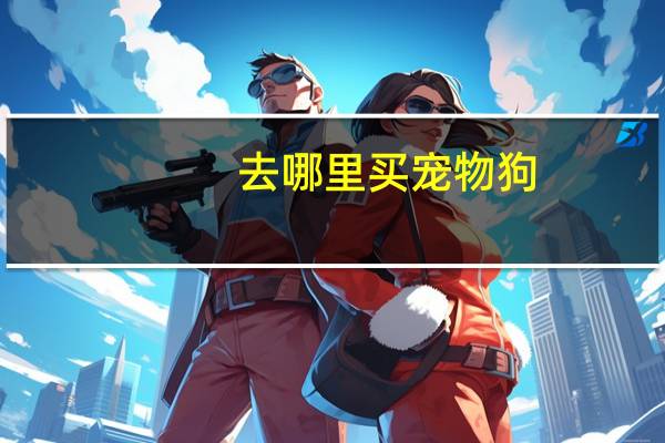 去哪里买宠物狗