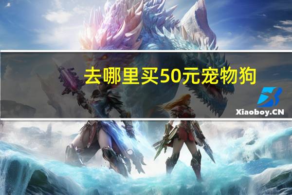 去哪里买50元宠物狗