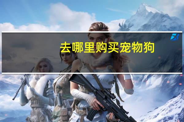 去哪里购买宠物狗