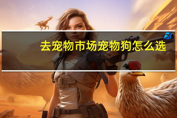 去宠物市场宠物狗怎么选