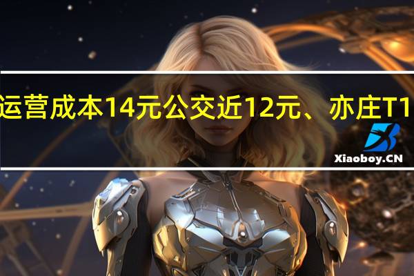 去年北京地铁人均运营成本14元公交近12元、亦庄T1线242元 到底什么情况嘞