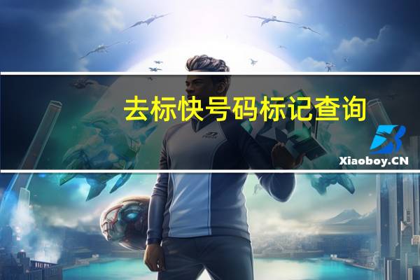 去标快号码标记查询（触宝号码标记查询）
