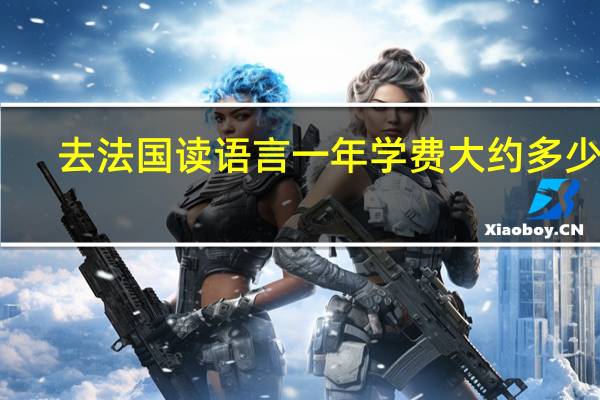 去法国读语言一年学费大约多少啊。30