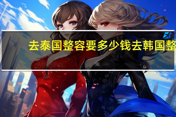 去泰国整容要多少钱 去韩国整容，一套下来要花多少钱