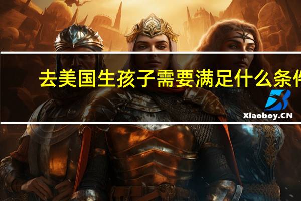 去美国生孩子需要满足什么条件
