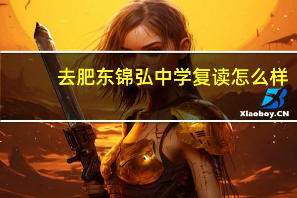 去肥东锦弘中学复读怎么样