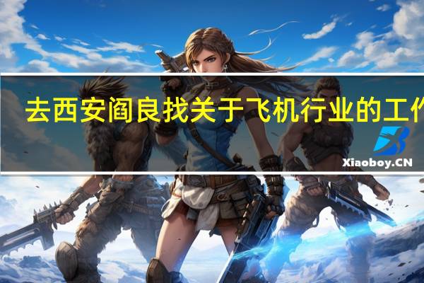 去西安阎良找关于飞机行业的工作30