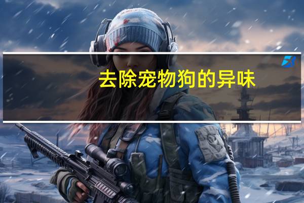 去除宠物狗的异味