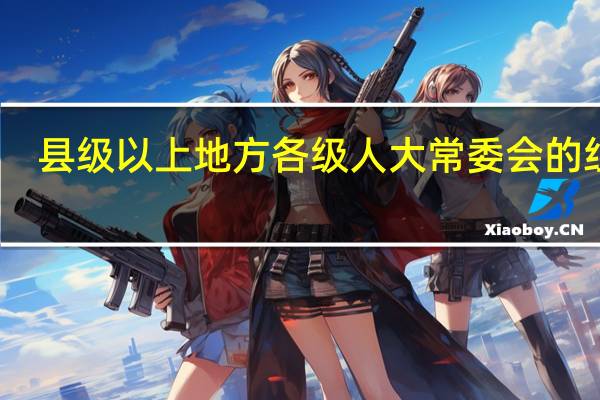 县级以上地方各级人大常委会的组成