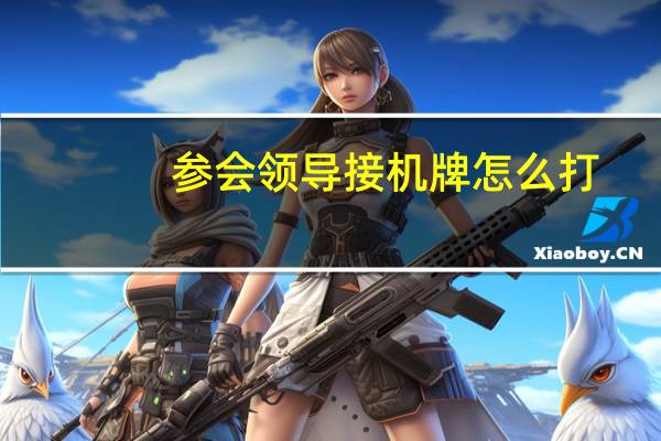 参会领导接机牌怎么打