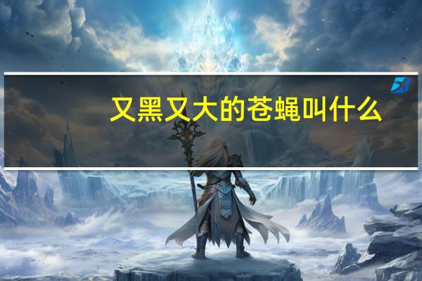 又黑又大的苍蝇叫什么