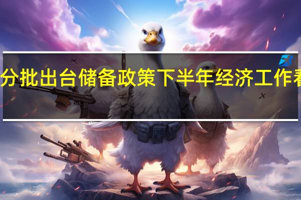 及时分批出台储备政策 下半年经济工作看点有哪些