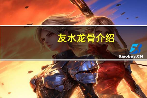 友水龙骨介绍
