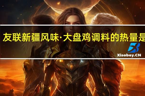 友联 新疆风味·大盘鸡调料的热量是多少