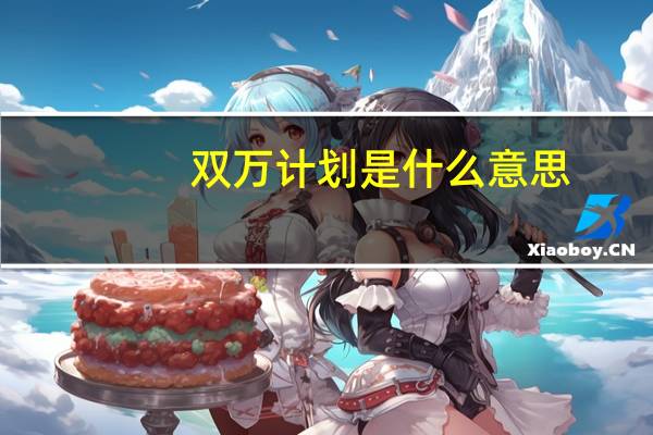 双万计划是什么意思