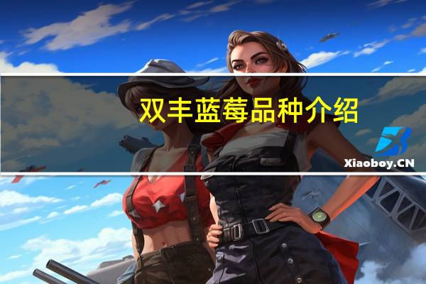 双丰蓝莓品种介绍