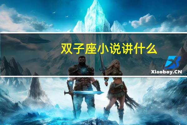 双子座小说讲什么（双子座小说）