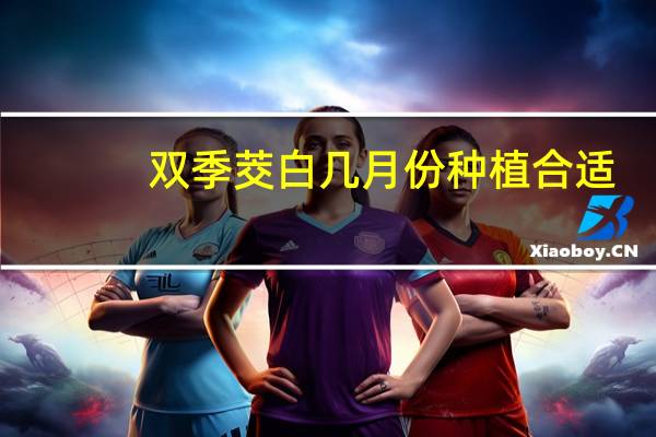 双季茭白几月份种植合适