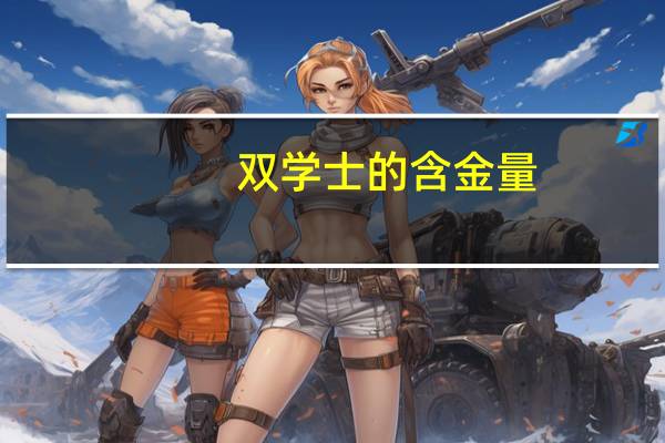 双学士的含金量
