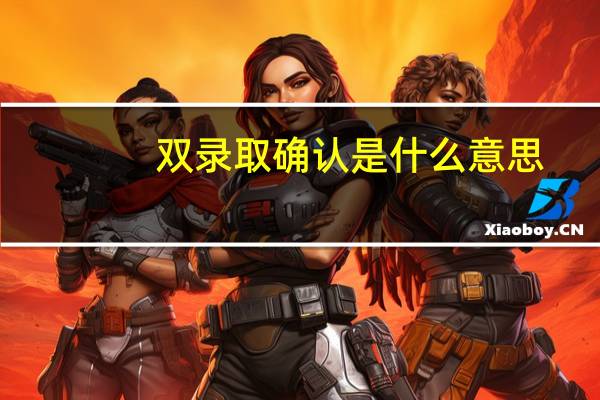 双录取确认是什么意思
