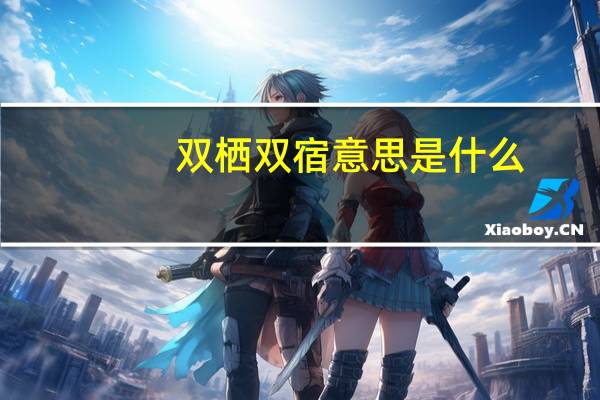 双栖双宿意思是什么