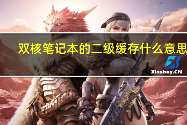 双核笔记本的 二级缓存什么 意思啊