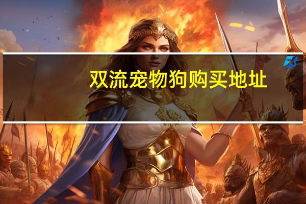 双流宠物狗购买地址