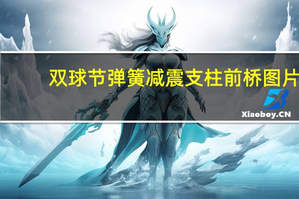双球节弹簧减震支柱前桥图片（双球节弹簧减震支柱前桥）