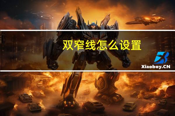 双窄线怎么设置（双窄线）