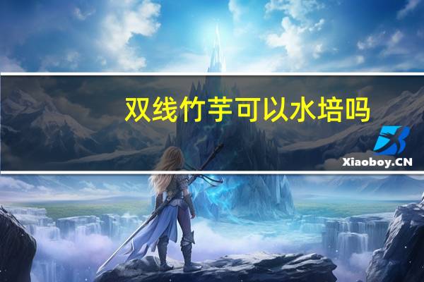 双线竹芋可以水培吗
