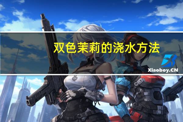 双色茉莉的浇水方法