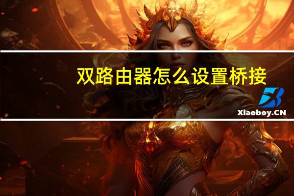 双路由器怎么设置桥接(双路由器怎么设置)