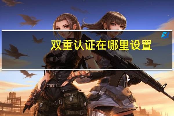 双重认证在哪里设置（双重认证）
