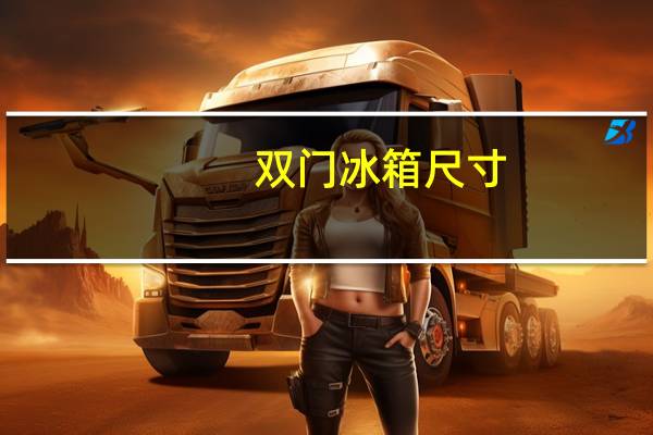 双门冰箱尺寸