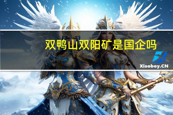 双鸭山双阳矿是国企吗