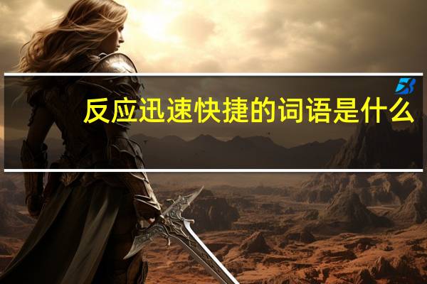 反应迅速快捷的词语是什么