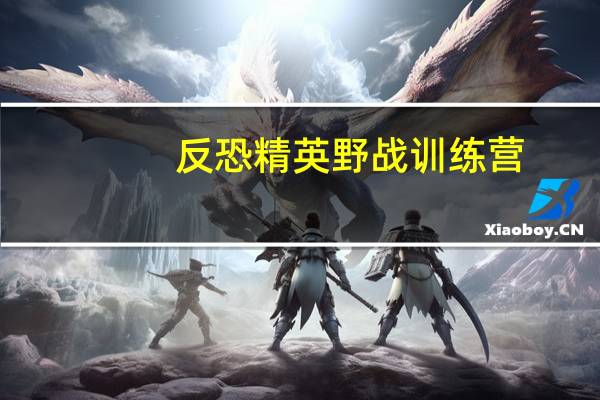 反恐精英野战训练营（反恐精英训练营）