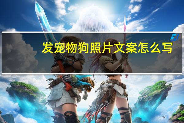发宠物狗照片文案怎么写