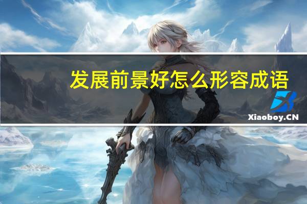 发展前景好怎么形容成语（发展前景好怎么形容）