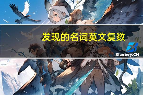 发现的名词英文复数