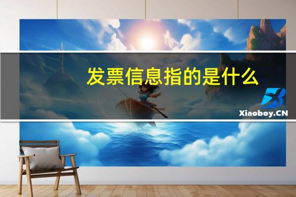发票信息指的是 什么