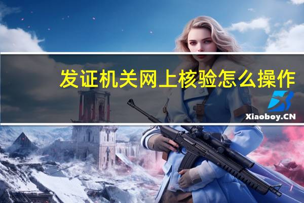 发证机关网上核验怎么操作（发证机关）