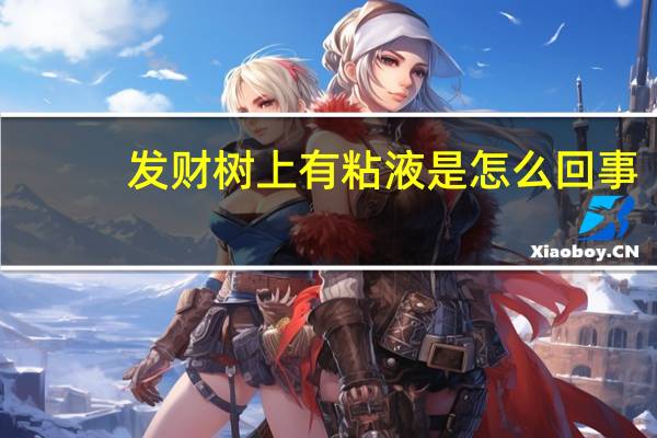 发财树上有粘液是怎么回事